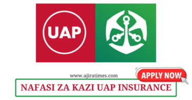 Payable Accountant Vacancies at UAP Insurance August 2024