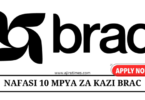 Program Assistant – 10 Posts at BRAC August 2024