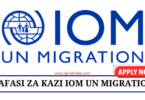 Project Officer (MECC/CAD/DRR) Vacancy at IOM August 2024