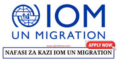 Project Officer (MECC/CAD/DRR) Vacancy at IOM August 2024