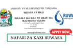 RUWASA Vacancies Tanzania August 2024