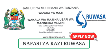 RUWASA Vacancies Tanzania August 2024