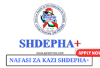 SHDEPHA+ Vacancies August 2024