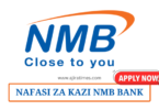 Senior Manager Enterprise Architecture at NMB Bank August 2024