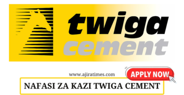 Twiga Cement Limited Vacancies August 2024