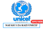 UNICEF Tanzania Vacancies August 2024