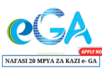 e-Government Authority (e-GA) Vacancies August 2024