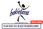 Call for Consultancy at HakiElimu September 2024