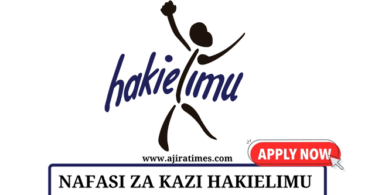 Call for Consultancy at HakiElimu September 2024