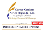 Career Options Africa Group Internship September 2024