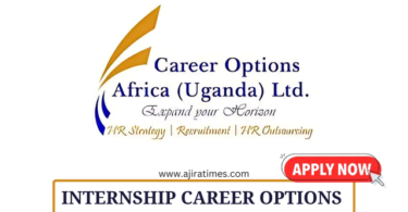 Career Options Africa Group Internship September 2024