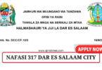 Dar es Salaam City Council 317 Vacancies September 2024