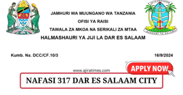 Dar es Salaam City Council 317 Vacancies September 2024