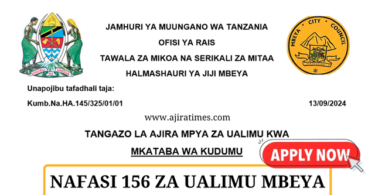 Mbeya City Council 156 Teaching Vacancies September 2024