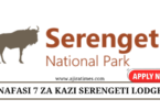 https://www.serengetiparktanzania.com/accommodation/serengeti-ark-safari-lodge/