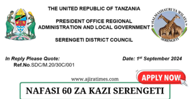 Serengeti District Council Vacancies September 2024