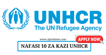 UNHCR Vacancies September 2024