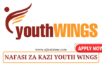 Data Officer (DO) Vacancy at YOUTH WINGS October 2024