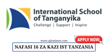 IST Tanzania New Vacancies October 2024