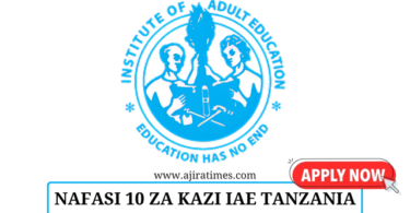 Institute of Adult Education (IAE) Vacancies October 2024