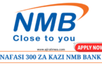 NMB Bank Direct Sales Vacancies – 300 Positions October 2024