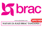 Senior Internal Audit Officer at BRAC Tanzania October 2024