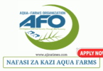 Aqua-Farms Organization (AFO) Vacancies November 2024