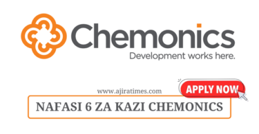 Chemonics Tanzania Vacancies November 2024