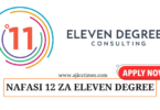 Eleven Degrees Consulting Ltd Vacancies November 2024