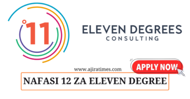 Eleven Degrees Consulting Ltd Vacancies November 2024