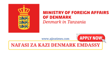 Embassy of Denmark Vacancies November 2024