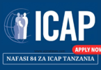 ICAP Tanzania 84 Vacancies November 2024