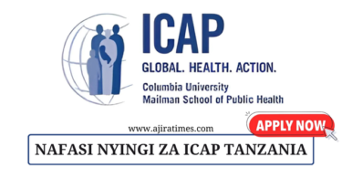 ICAP Tanzania Vacancies November 2024