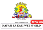 Kunduchi Wet N’ Wild Water Park Vacancies November 2024