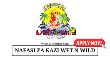 Kunduchi Wet ‘N’ Wild Water Park Vacancies November 2024