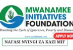 Mwanamke Initiatives Foundation (MIF) Vacancies November 2024