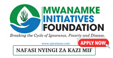 Mwanamke Initiatives Foundation (MIF) Vacancies November 2024