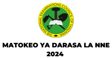 NECTA Matokeo ya Darasa la Nne 20242025 SFNA Results