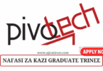 Pivotech Graduate Trainee November 2024