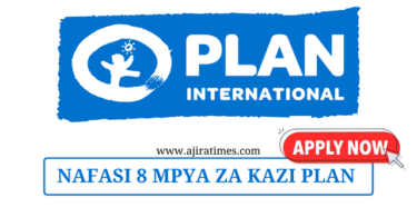 Plan International Vacancies November 2024