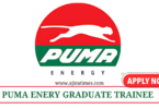 Puma Energy Global Graduate Program 2024