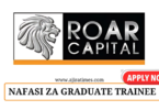 Roar Capital Graduate Management Trainee Programme 2024