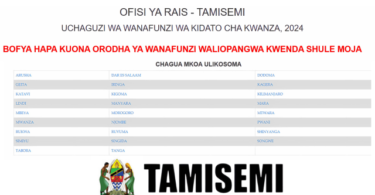 TAMISEMI Shule Walizopangiwa Darasa la Saba 2024/2025 Form one Selection