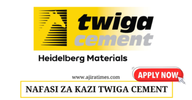 Twiga Cement New Vacancies November 2024