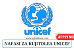 UNICEF Tanzania Volunteer Vacancies November 2024