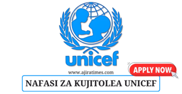 UNICEF Tanzania Volunteer Vacancies November 2024