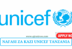 UNICEF Temporary Risk and Compliance Specialist, P-3 2024