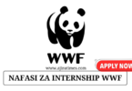 WWF Internship Opportunities November 2024