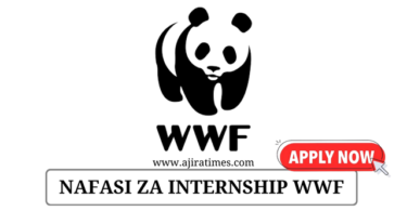 WWF Internship Opportunities November 2024