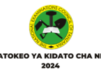 NECTA Matokeo ya Kidato cha Nne 2024/2025 CSEE Form Four Results